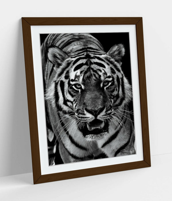 TIGER BLACK AND WHITE -FRAMED ART POSTER PAINTING PRINT 4 SIZES