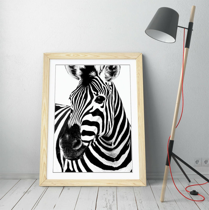 ZEBRA HEAD -FRAMED POSTER WALL ART PRINT ARTWORK- BLACK & WHITE
