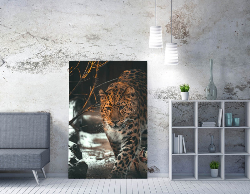 Snow Leopard Canvas Art - Close Up Animal Photo on Handmade UK Canvas Wall Artwork