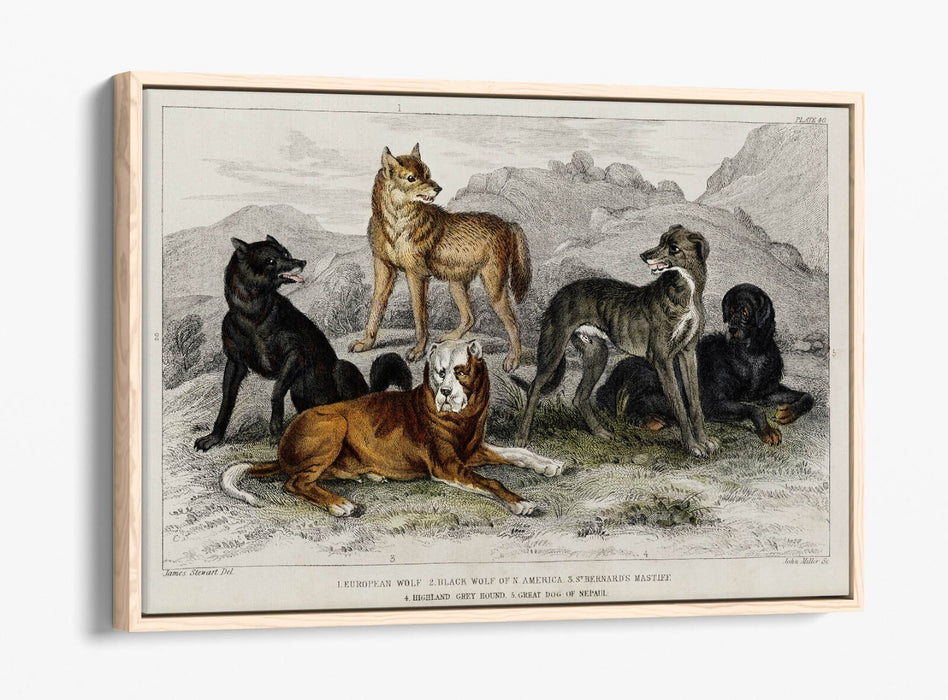 Canvas Wall Art Print | Premium Canvas Frame, Vibrant Wall Decor Dog Design