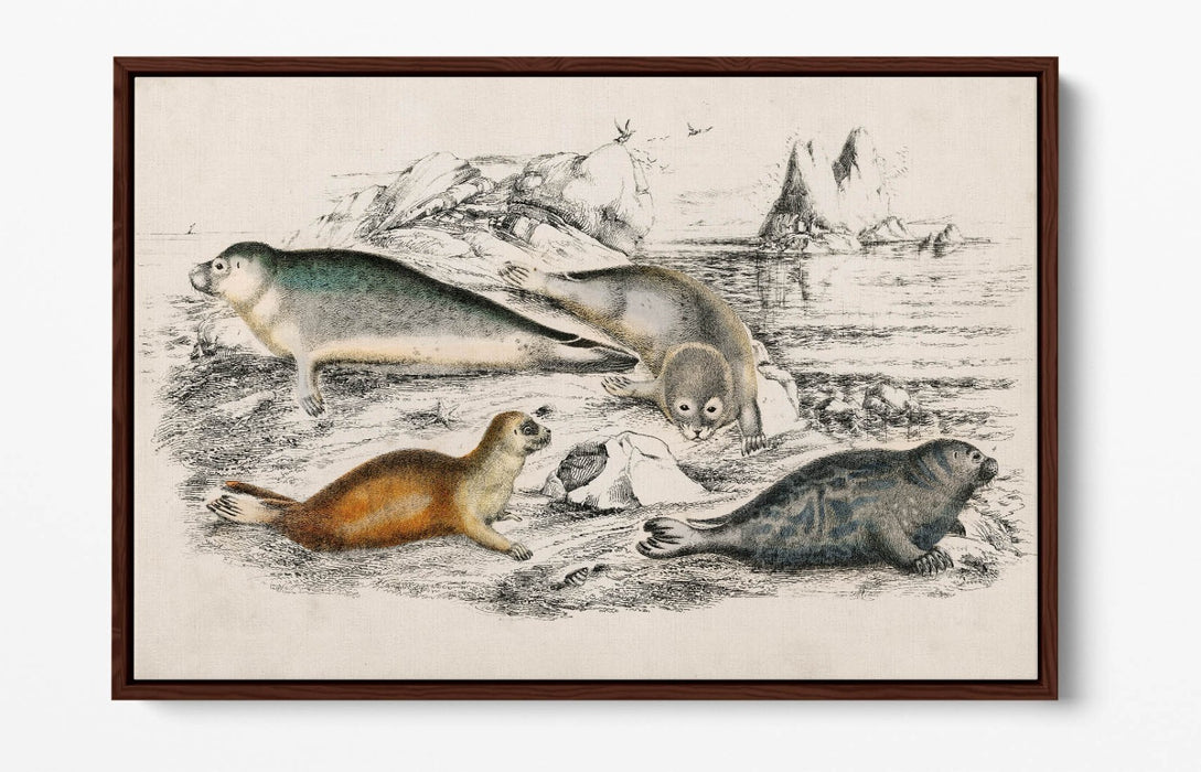 Canvas Wall Art Print - Handmade Canvas With Float Effect & Premium Frame