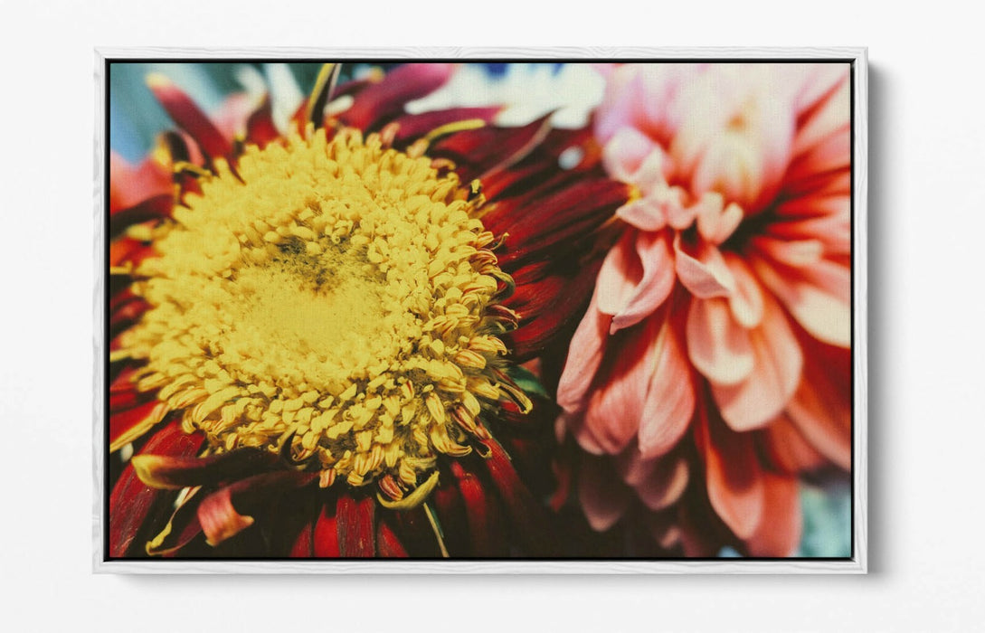 VINTAGE FLOWER -FLOAT EFFECT CANVAS WALL ART PIC PRINT- YELLOW RED PINK