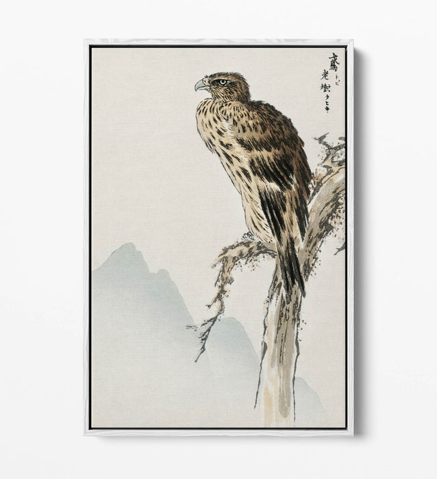 Canvas Wall Art - Numata Kashu Black Eared Kite Float Effect Print on Premium Frame