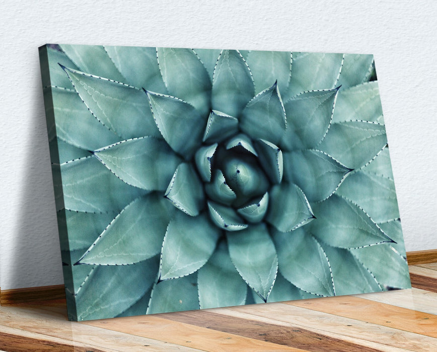 Canvas Wall Art – Framed Green Succulent Plant Poster With Scratch Resistant Finish
