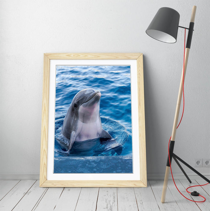 Dolphin Wall Art – Cute Dolphin Print Framed Art Poster | Handmade UK Frame