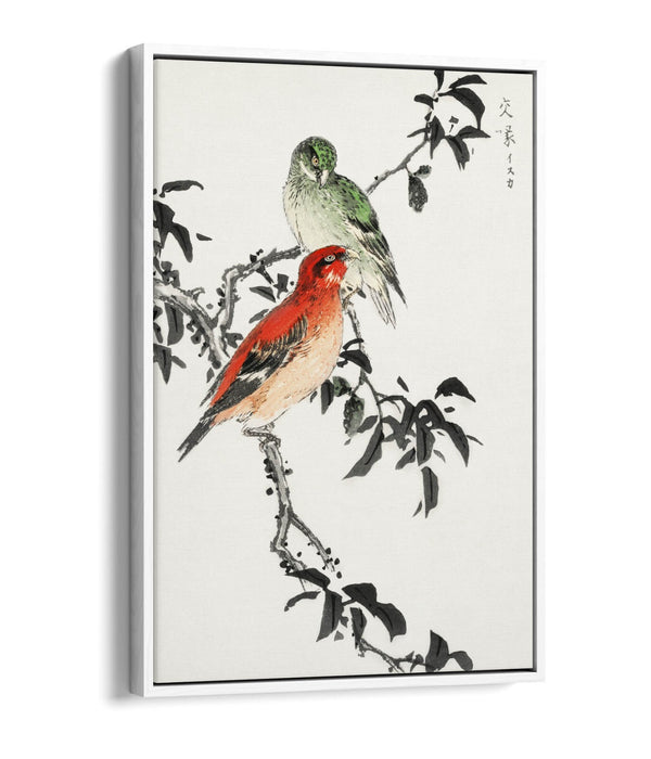 Canvas Wall Art - NUMATA KASHU Crossbill Float Effect Premium Print 30mm Frame