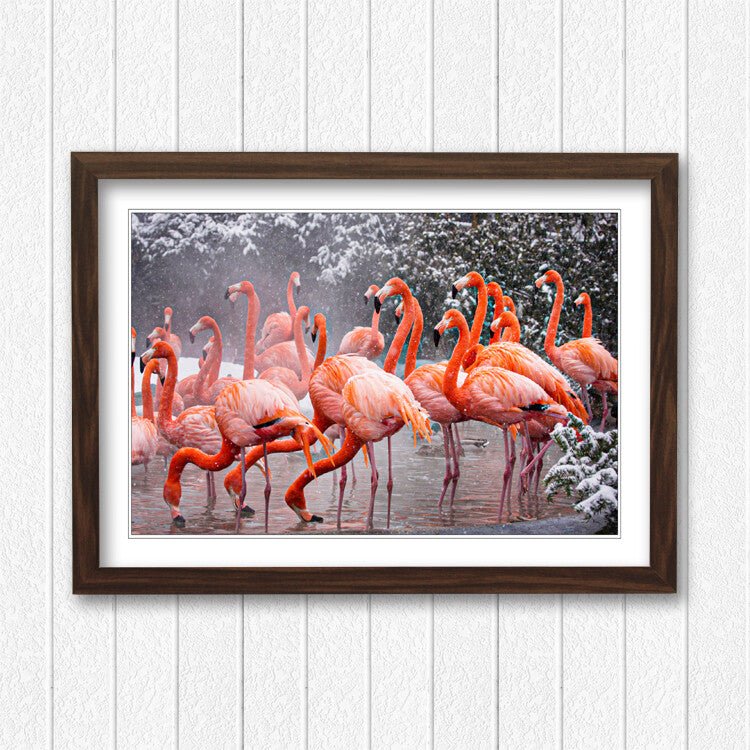 Flamingos Wall Art - Animal Framed Print With Natural Wood Frame, Ready To Hang