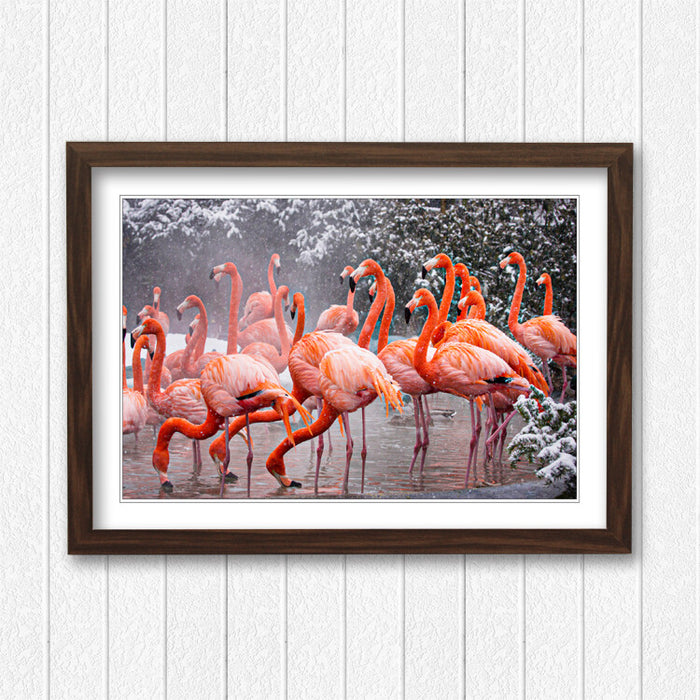 Flamingos Wall Art - Animal Framed Print With Natural Wood Frame, Ready To Hang