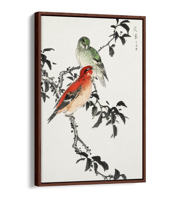 Canvas Wall Art - NUMATA KASHU Crossbill Float Effect Premium Print 30mm Frame