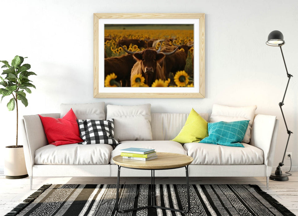 Highland Cows Wall Art – Framed Sunflower Field Print | Rustic Farmhouse Decor