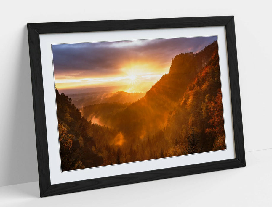 Framed Art Poster - Forest Sunset Print With Natural Wood Frame, Yellow Purple