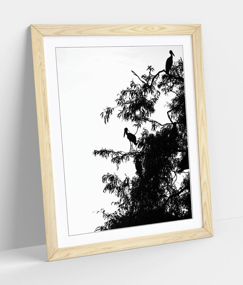 Bird Silhouette Wall Art - Framed Wall Poster | Black Bird Tree Artwork, Matte Finish