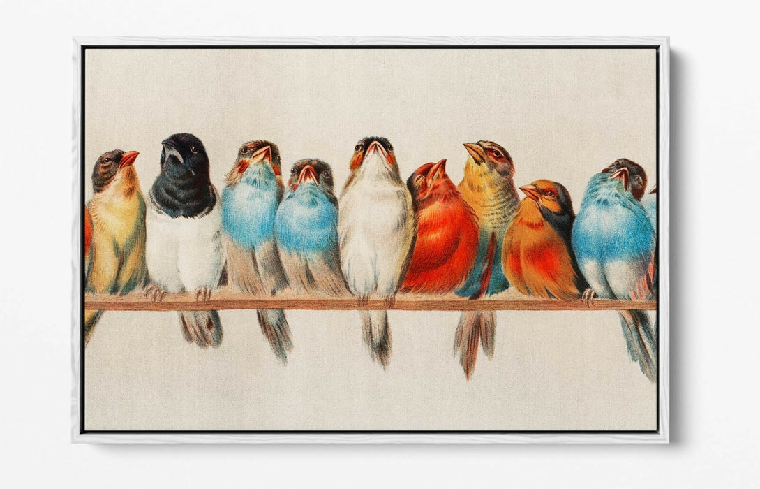 BIRDS ON A PERCH VINTAGE ART -FLOAT EFFECT CANVAS WALL ART PIC PRINT- RED BLUE