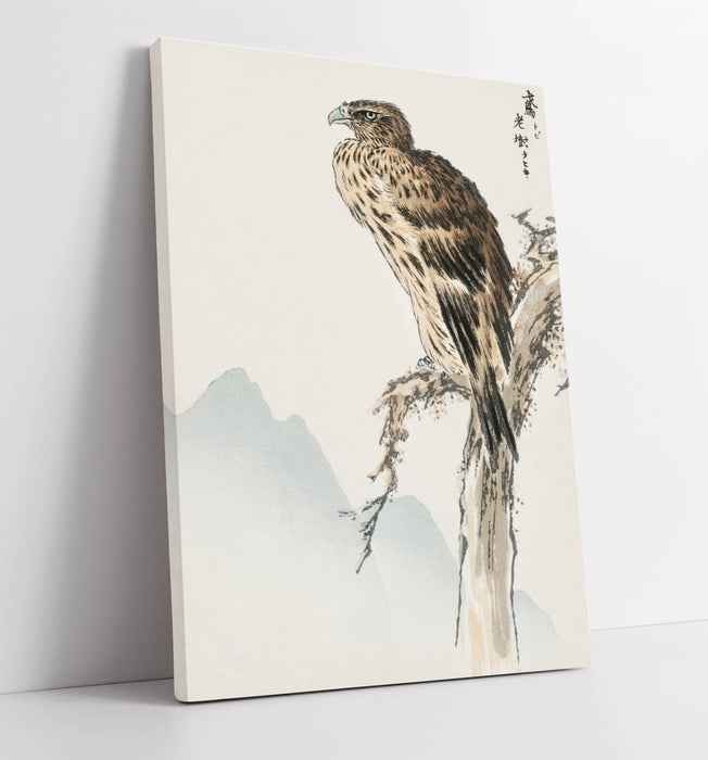 Canvas Wall Art – Numata Kashu Black Eared Kite Bird Print on Archival Grade Canvas