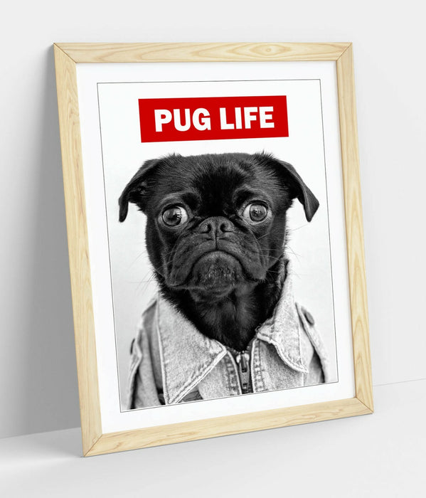 PUG LIFE -FRAMED POSTER WALL ART PRINT ARTWORK- BLACK & WHITE