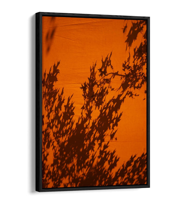 Canvas Wall Art Print - Orange Sunset Art With Tree Leaves Shadow | Float Effect Canvas