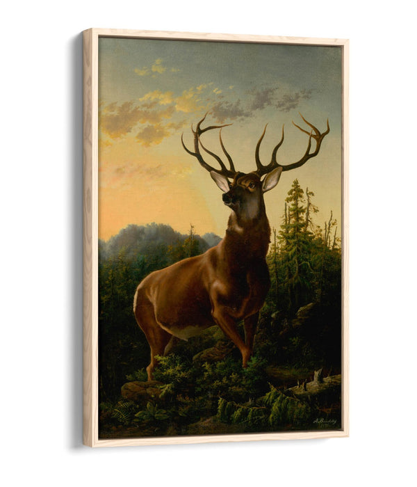 Canvas Wall Art - Handmade Deer Forest Print | Float Effect, Premium Varnish Finish