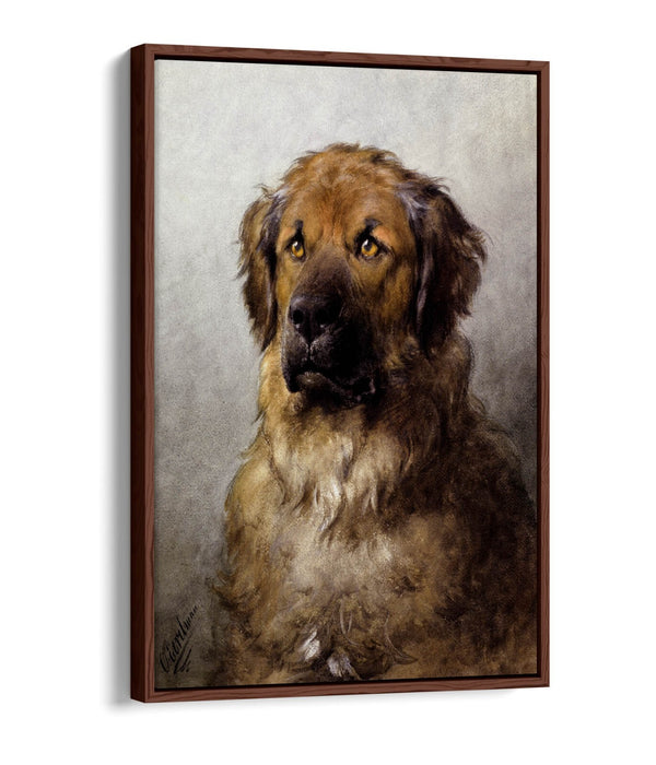 Canvas Wall Art – Otto Ereleman Head Of Leonberger | Premium Float Effect Print