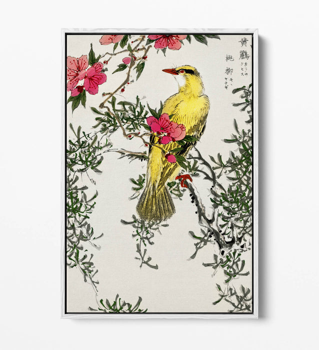 Canvas Wall Art | Handmade Float Effect Canvas Print with Premium Frame - Bird Design