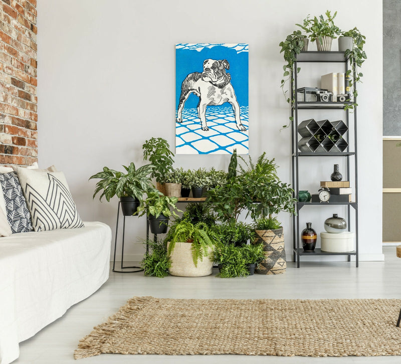 Vintage Bulldog Canvas - Deep Framed Blue Bulldog Artwork | Handmade UK Canvas Wall Art