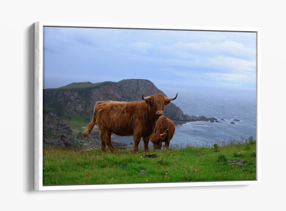 Canvas Wall Art - Highland Cows Coastal Landscape Print | Float Effect, Handmade