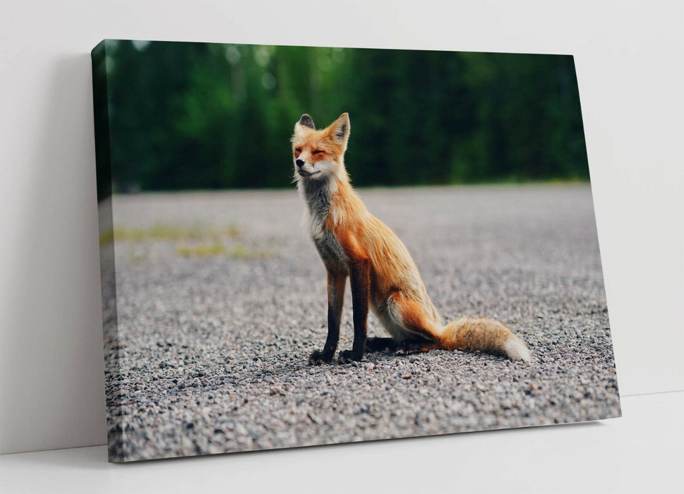 Baby Fox Canvas - Cute Wildlife Wall Art Print | Handmade 30mm Deep Frame