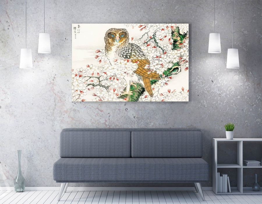 Canvas Wall Art - Numata Kashu Short Eared Owl & Cherry Blossom Print on Archival Grade Canvas