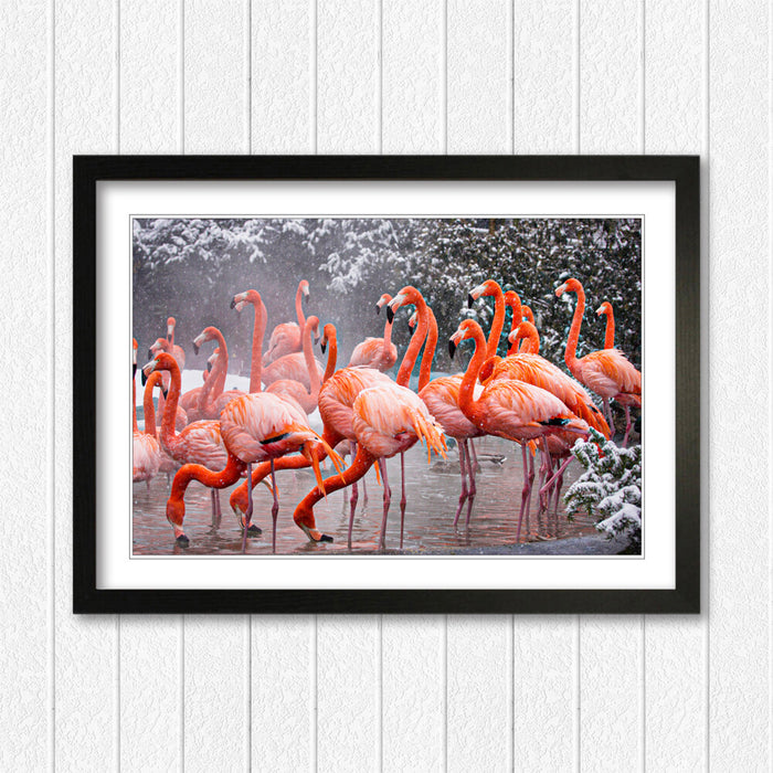 Flamingos Wall Art - Animal Framed Print With Natural Wood Frame, Ready To Hang
