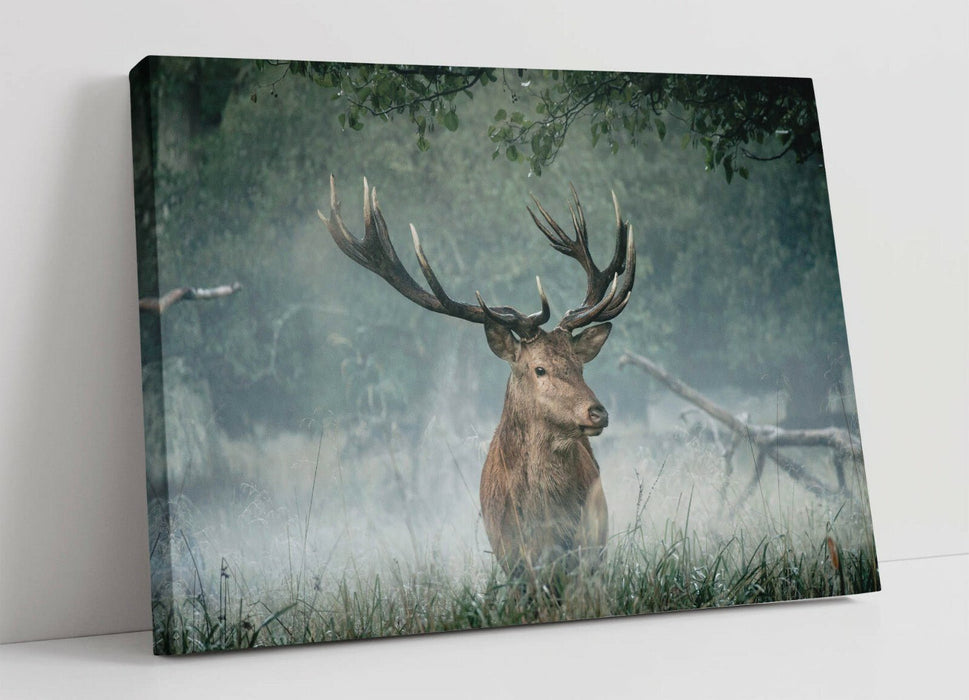 Canvas Wall Art - Majestic Stag Framed Print | Wildlife Canvas Art, Handmade UK