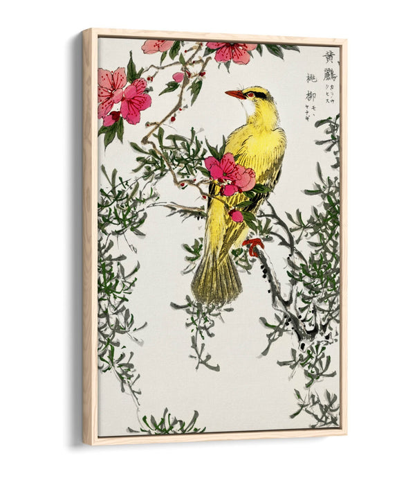 Canvas Wall Art | Handmade Float Effect Canvas Print with Premium Frame - Bird Design