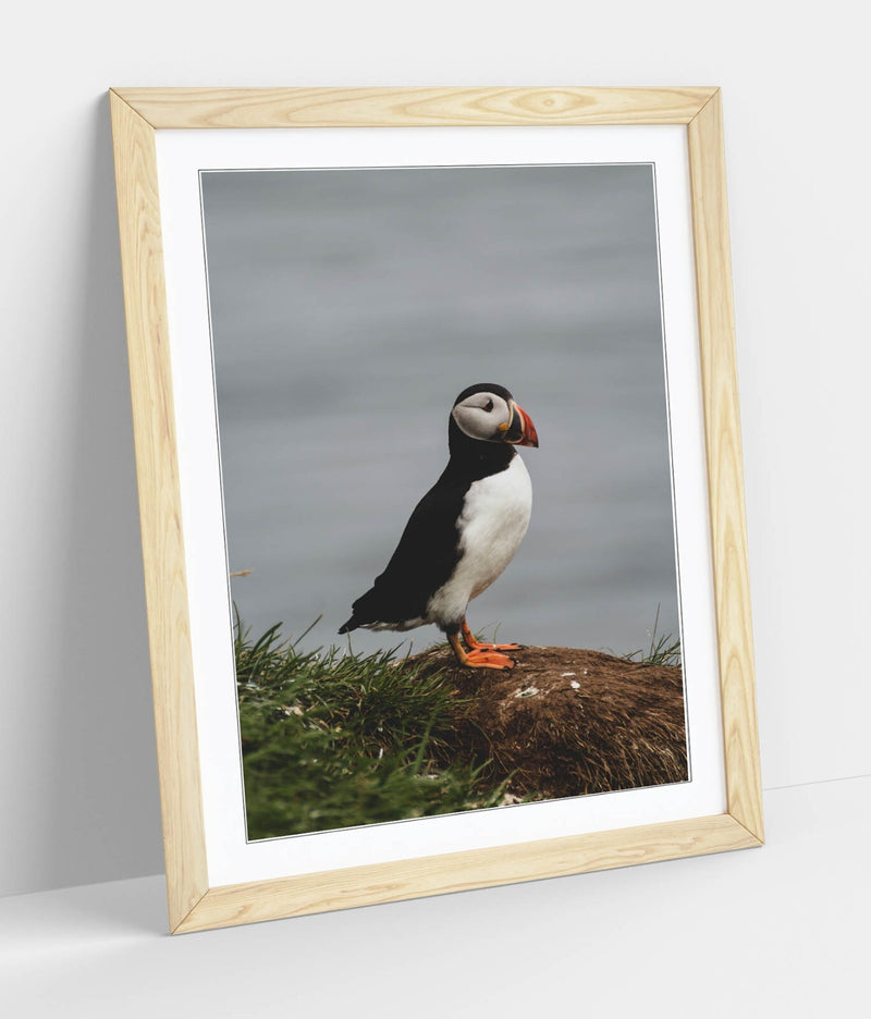 Puffin Wall Art - Framed Cliff Photography Print | UK Handmade Nature Decor