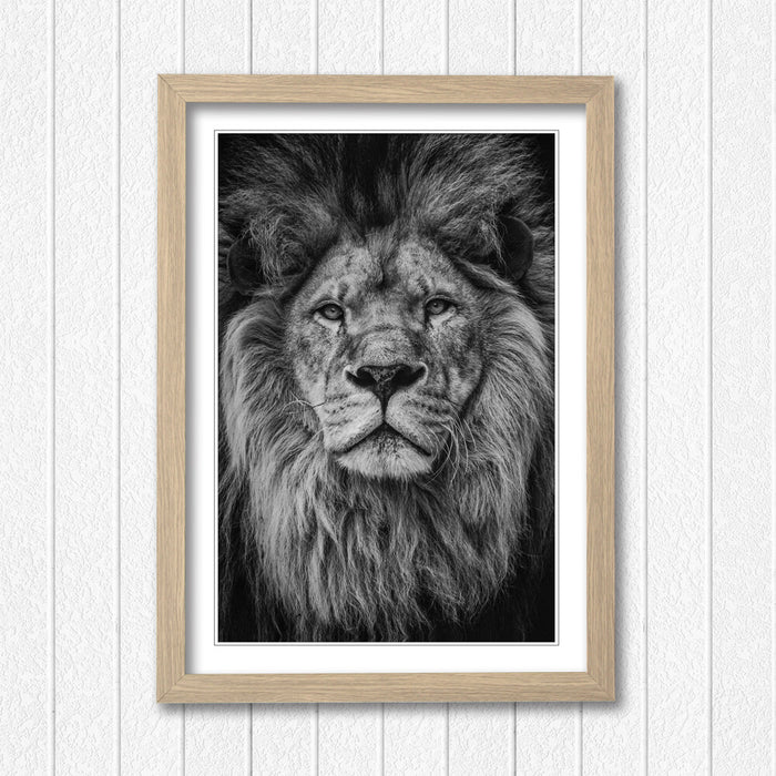 LION HEAD BLACK AND WHITE WALL ART PRINT STRENGTH COURAGE 4 FRAME SIZES POSTER