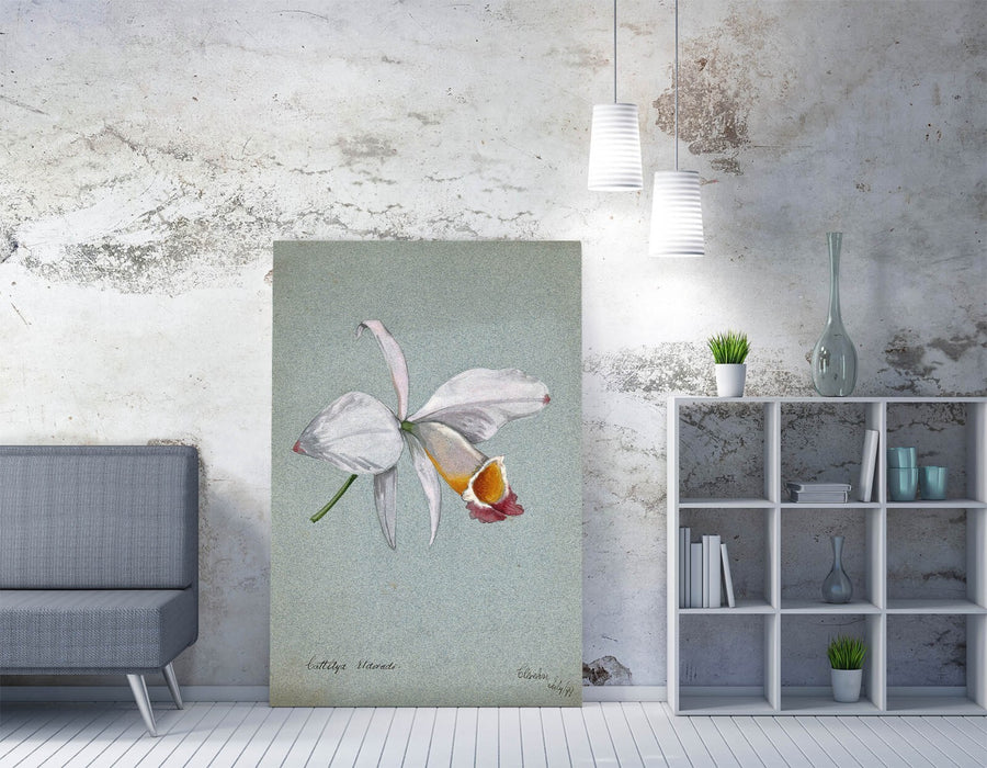 AN ORCHID WATERCOLOUR ILLUSTRATION HOME DECOR CANVAS WALL ART PICTURE PRINT