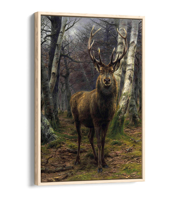 Float Effect Canvas Art - Rosa Bonheur King of The Forest Premium Wall Print