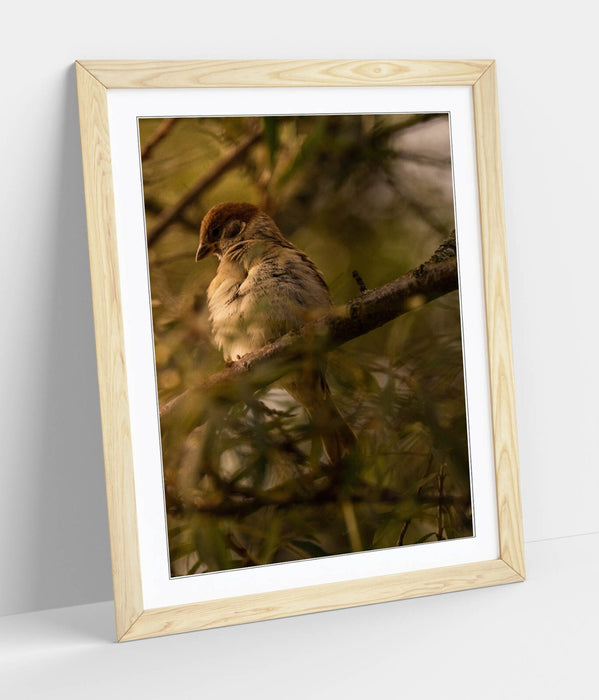 Bird Wall Art - Framed Tree Print With Woodgrain Frame | Bedroom Wall Decor
