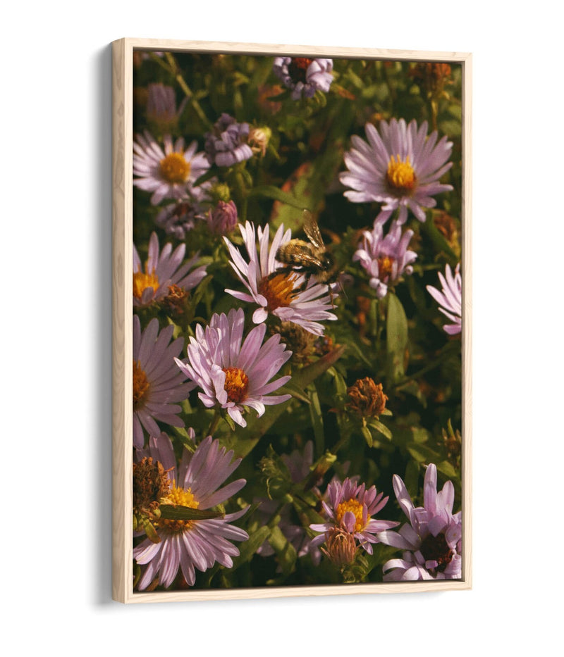 Canvas Wall Art - Grainy Bee On Flowers | Handmade Vibrant Floral Artwork, 30mm Deep Frame
