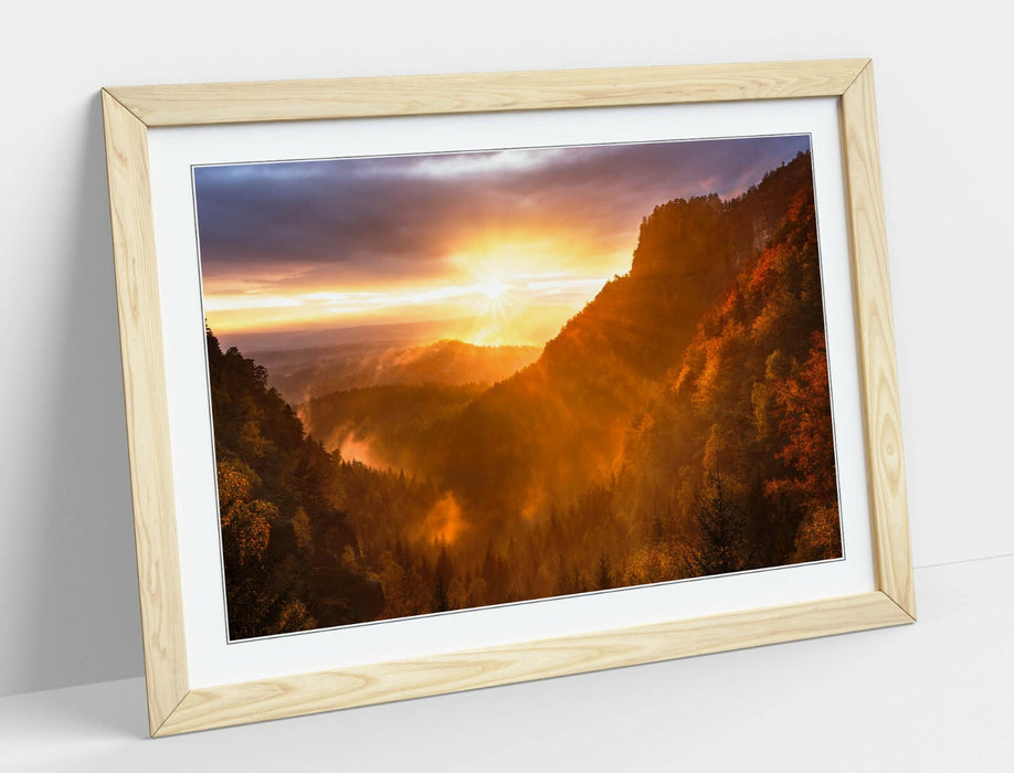 Framed Art Poster - Forest Sunset Print With Natural Wood Frame, Yellow Purple