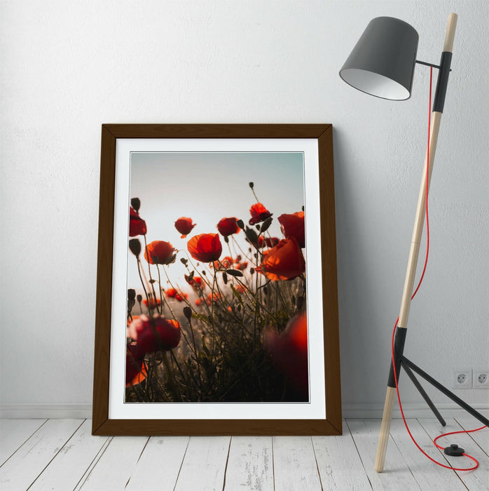 RED POPPIES FLOWER FIELD -FRAMED WALL ART PICTURE PRINT- PHOTOGRAPHY