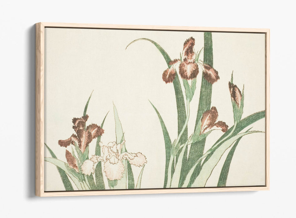 Canvas Wall Art – Katsushika Hokusai Iris Float Effect Canvas Print with Premium Frame