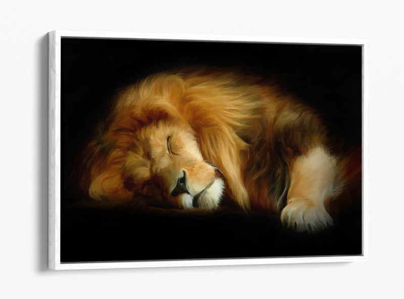 Canvas Wall Art - Sleeping Lion Handmade Float Effect Canvas Print | Premium Frame