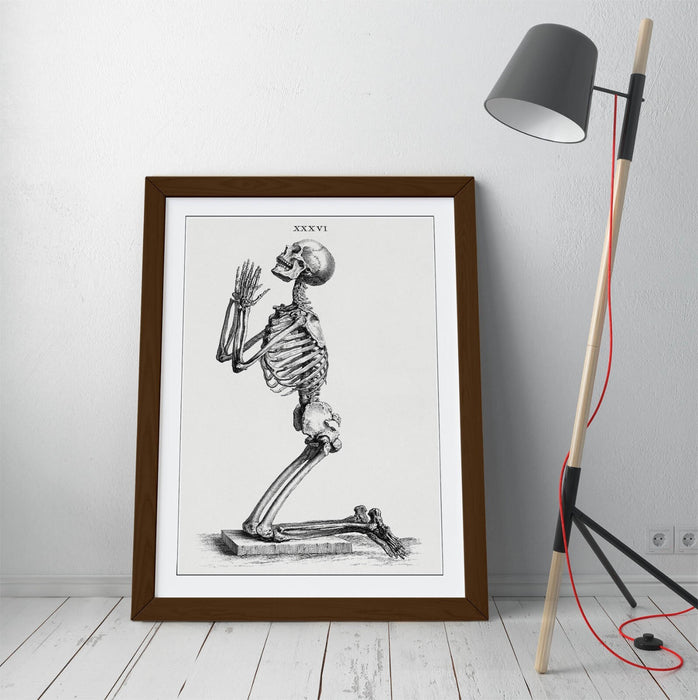 Framed Skeleton Wall Art – William Cheselden Praying Skeleton Poster Print in Wood Grain Frame