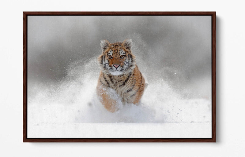 Tiger Canvas Wall Art – Running Tiger Artwork with Premium Float Frame | Handmade UK