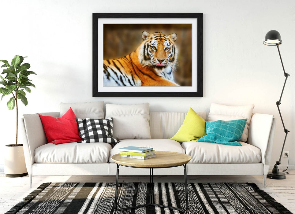Funny Tiger Wall Art - Framed Wall Art Poster With Tiger Tongue Print, UK Handmade