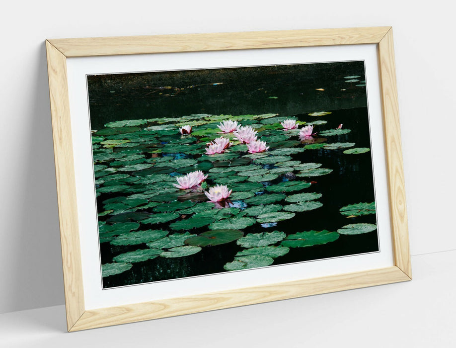 WATERLILIES FLORAL BOTANICAL PHOTOGRAPHY -FRAMED POSTER WALL ART PRINT ARTWORK