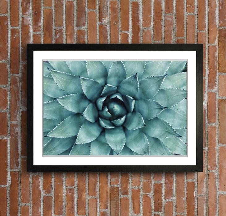 Canvas Wall Art – Framed Green Succulent Plant Poster With Scratch Resistant Finish