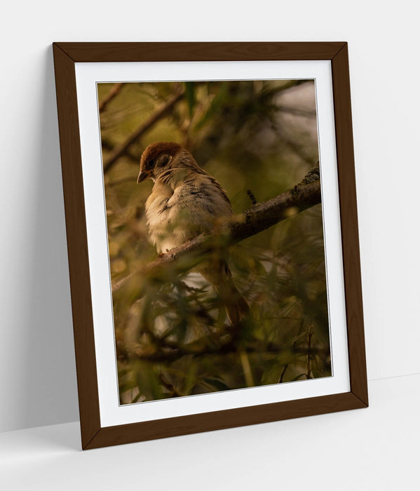 Bird Wall Art - Framed Tree Print With Woodgrain Frame | Bedroom Wall Decor