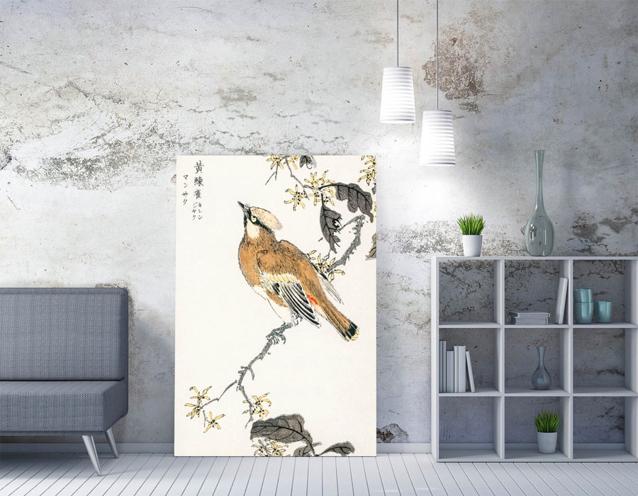 Canvas Wall Art - Numata Kashu Eastern Waxwing Bird Print on Custom Stretched Canvas