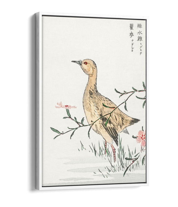 Float Effect Canvas Art – Eastern Redshank & Pink Flower | Premium Wall Decor