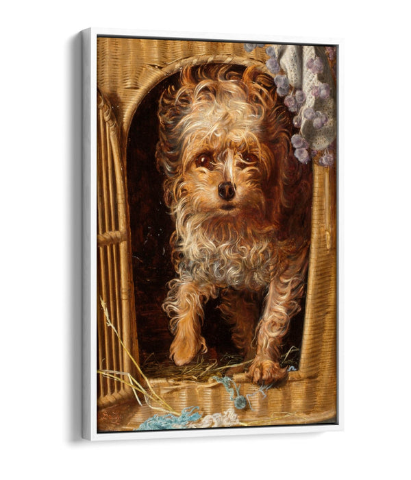 FREDERICK SANDYS, DARBY IN HIS BASKET KENNEL -FLOAT EFFECT CANVAS WALL ART PRINT