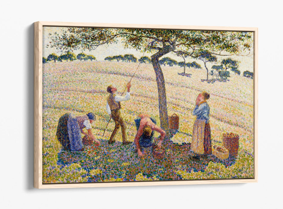 Float Effect Canvas Art – Apple Harvest by Camille Pissarro | Premium 30mm Deep Frame